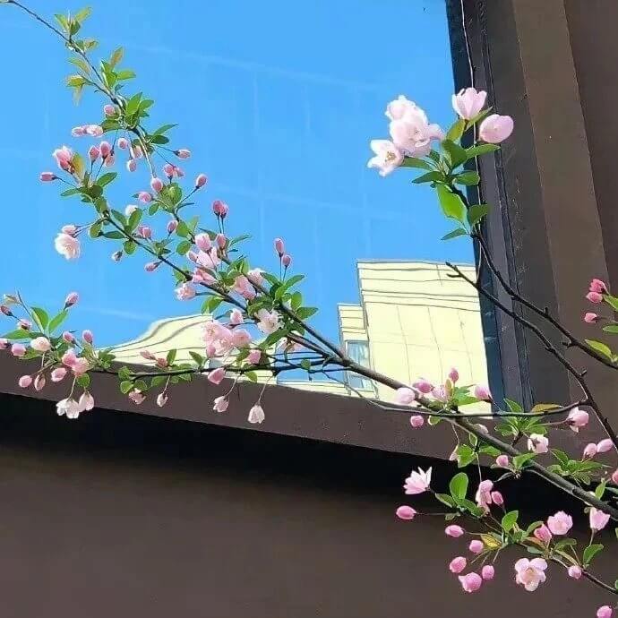 彩虹糖的梦